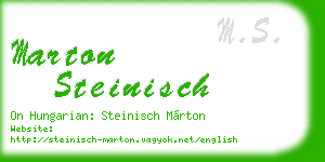 marton steinisch business card
