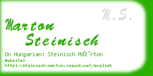 marton steinisch business card